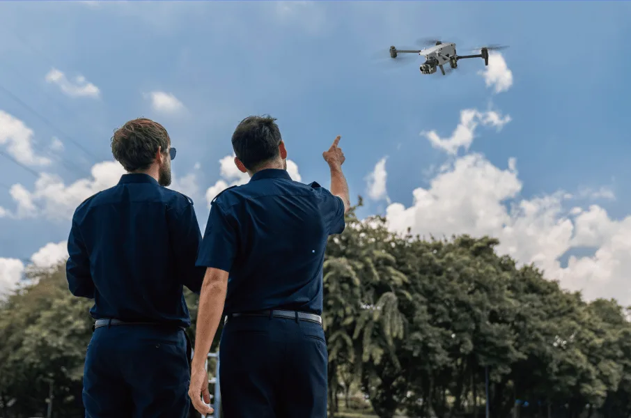 Seguridad pública